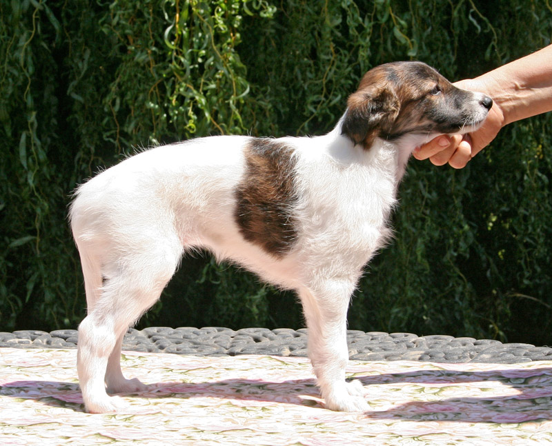 Surf Spots - Girl 1 Right